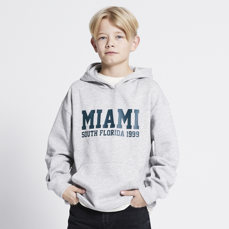 Printed hoodie "Jordon" Grey melange 7